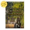 Edition numérotée et signée : Le Grand Plan de la Troménie de Locronan